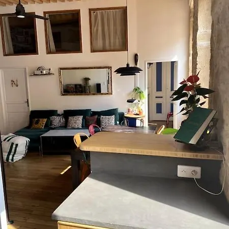 Beau T3 Canut Lumineux De 75m2 * Lyon